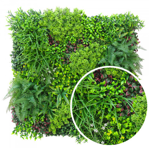 mur végétal Hémisphère est un mélange de buis et de fougères vertes