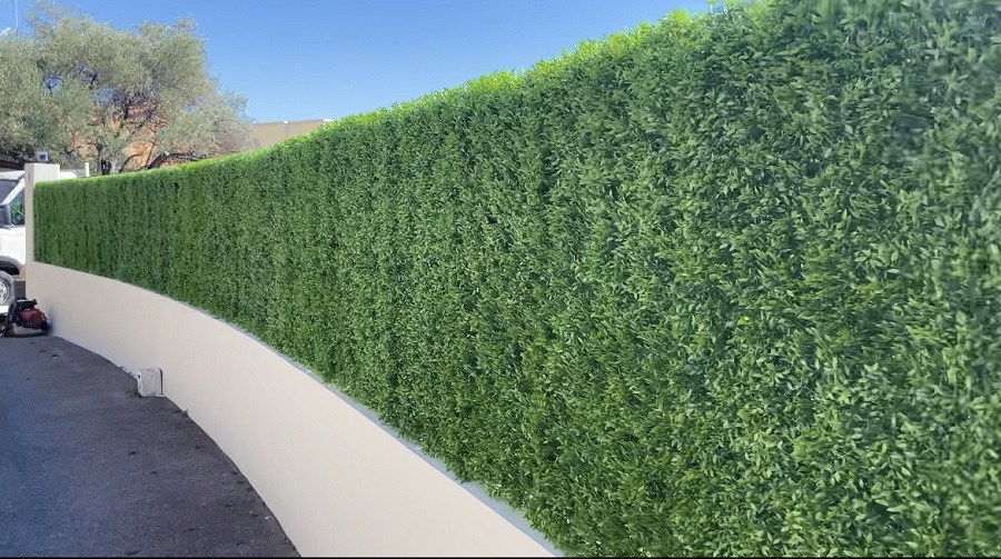Habillage d’une clôture à Monaco avec notre Mur Végétal Buisson
